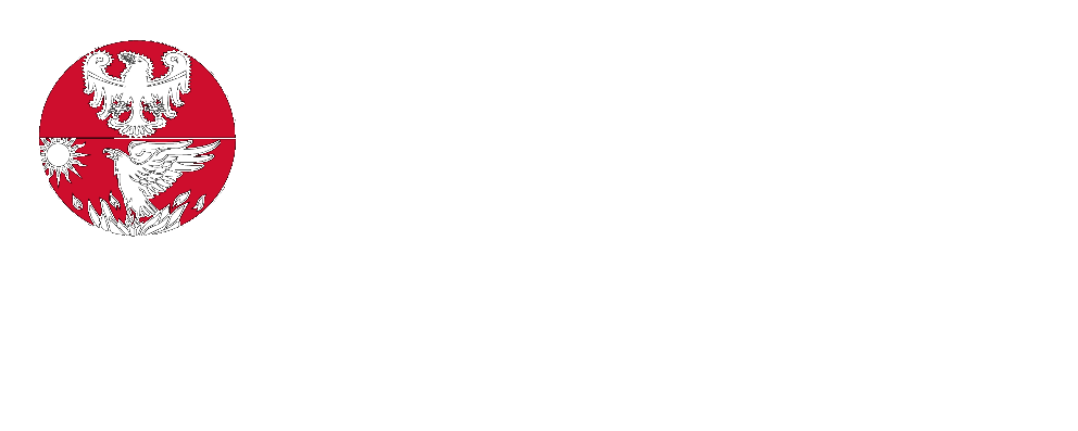 Department of Psychology and Cognitive Science UniTN